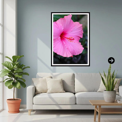 Pink Hibiscus Close-Up — Eden Project Cornwall Wall Art Photography Print