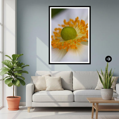 White Anemone Macro Flower Print | Soft Botanical Nature Photography, Elegant Decor