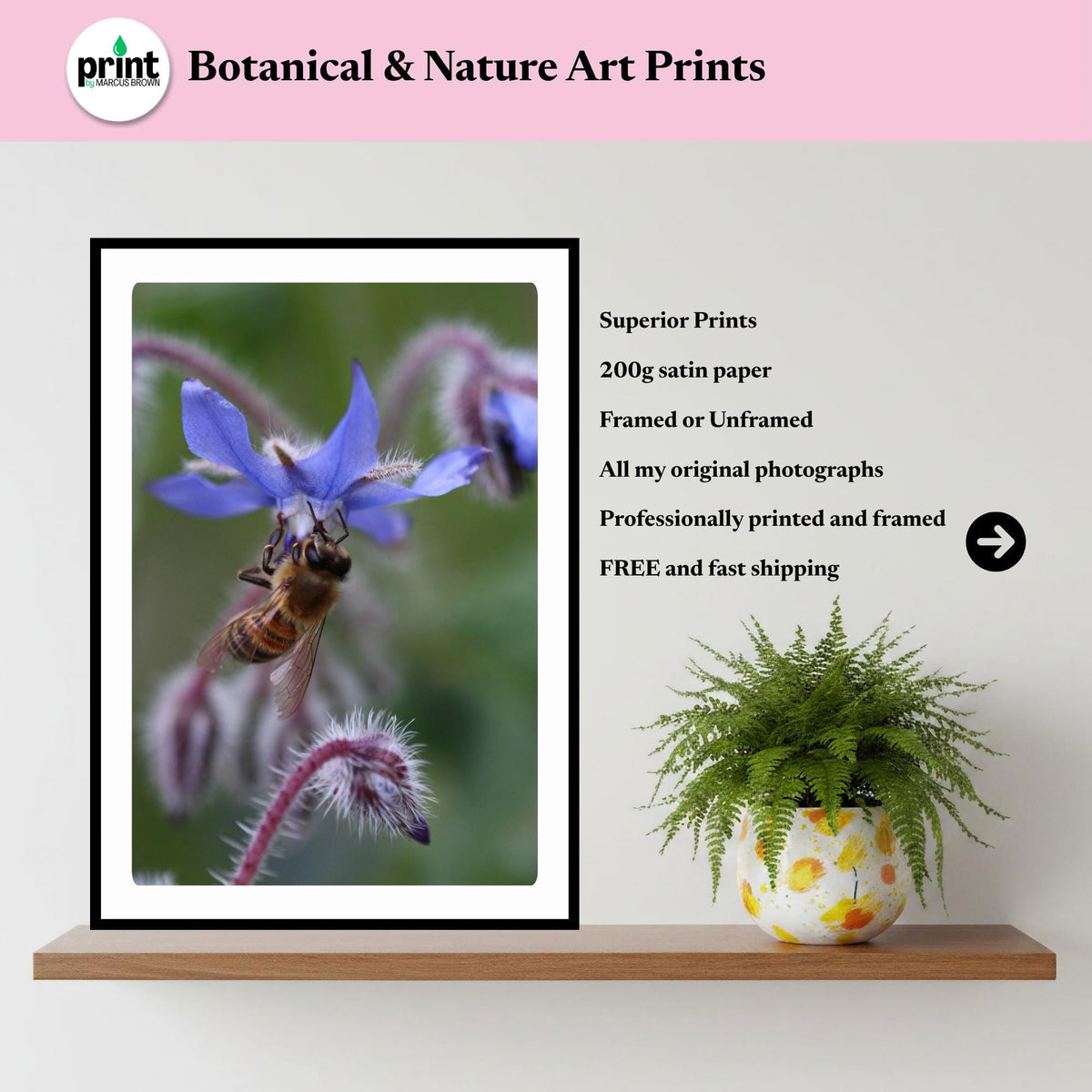 Macro Honey Bee Botanical Art Print | Blue Floral Nature Photography, Cottagecore Decor