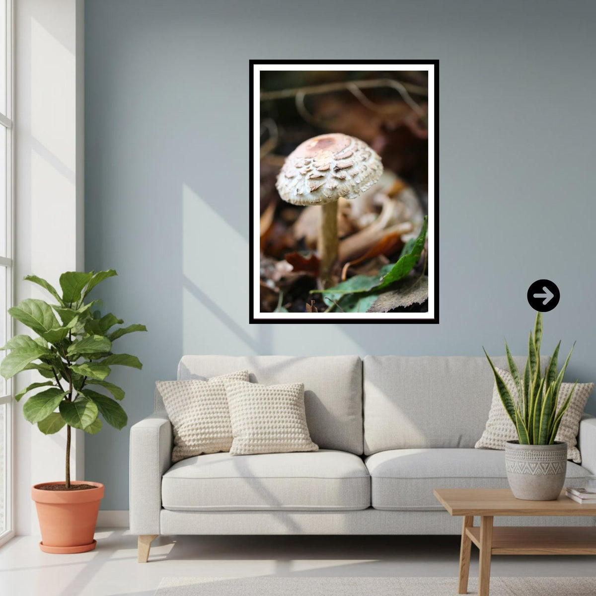 Parasol Mushroom Fungi Print Art | Woodland Nature Photography | Botanical Wall Decor | Archival Paper | Unique Gift Mycology Enthusiasts
