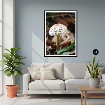 Parasol Mushroom Fungi Print Art | Woodland Nature Photography | Botanical Wall Decor | Archival Paper | Unique Gift Mycology Enthusiasts