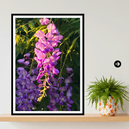 Wisteria Sunset Glow Print, Vibrant Purple Floral Wall Art, Romantic Nature Decor, Summer Bloom, Archival Paper, Home & Gift Idea