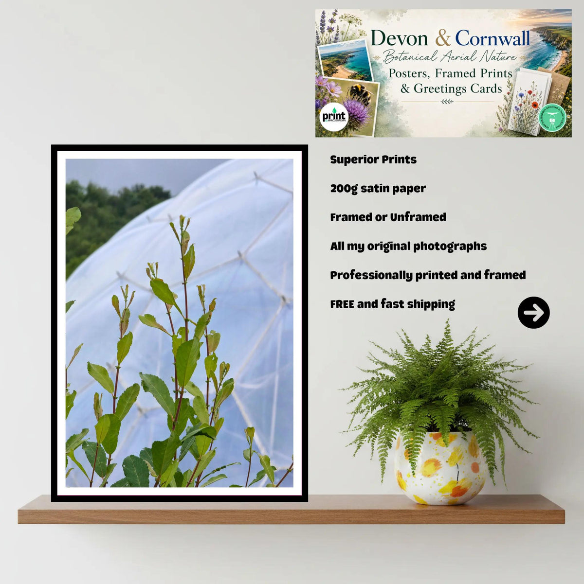 Tender green shoots at Eden Project Biome, Cornwall — Wall Art Photography Print
