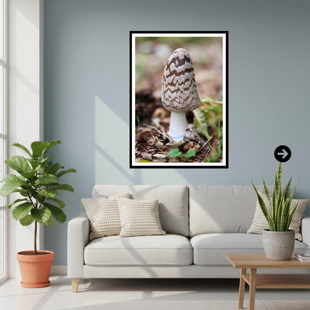 Shaggy Mane Fungi Print Art, Mushroom Nature Photography, Woodland Decor, Botanical Archival Print, Fungi Collection, FSC Certified Decor