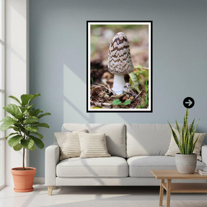 Shaggy Mane Fungi Print Art, Mushroom Nature Photography, Woodland Decor, Botanical Archival Print, Fungi Collection, FSC Certified Decor