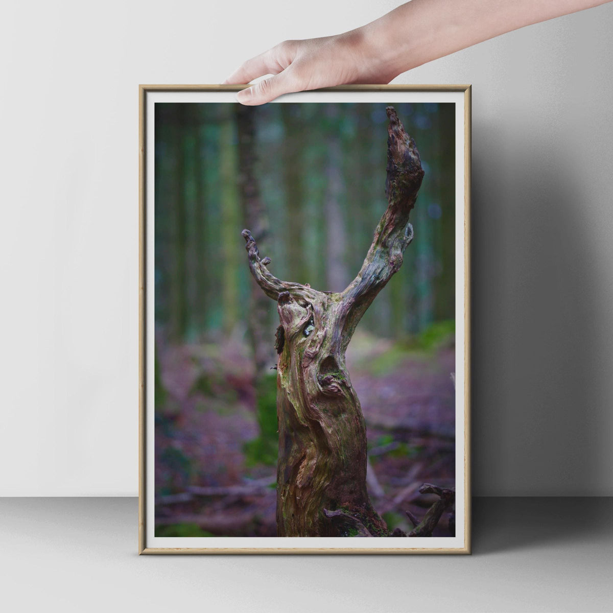 Twisted Tree Stump Forest Poster, Eerie Woodland Photography Print, Dark Nature Wall Art, Mystical Trees Portrait, Moody Green Brown Decor