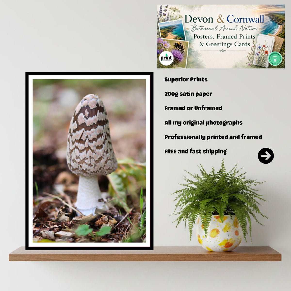 Shaggy Mane Fungi Print Art, Mushroom Nature Photography, Woodland Decor, Botanical Archival Print, Fungi Collection, FSC Certified Decor