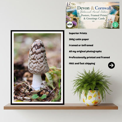 Shaggy Mane Fungi Print Art, Mushroom Nature Photography, Woodland Decor, Botanical Archival Print, Fungi Collection, FSC Certified Decor