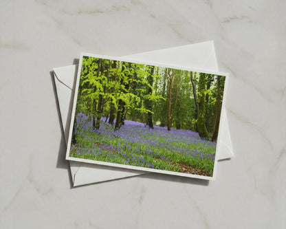 Bluebell Wood Poster, English Woodland Framed-Print, Spring Forest Landscape Wall Art, Purple Wildflower Nature Photography Print