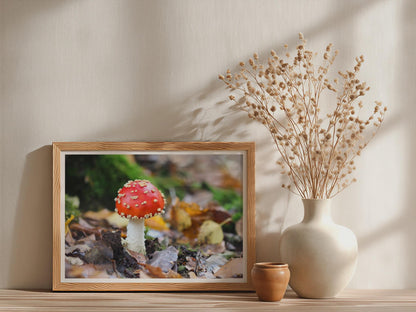 Fly Agaric Mushroom Poster mockup - Neutral_Mockup_Studio_509