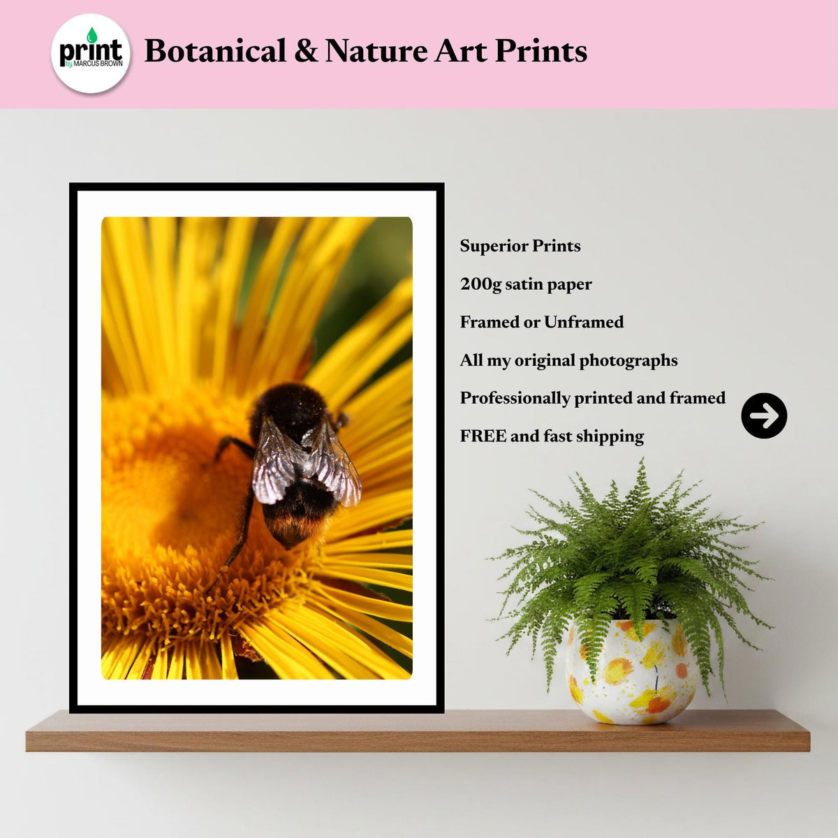 Macro Bumblebee Photography Print | Golden Yellow Floral Nature Decor