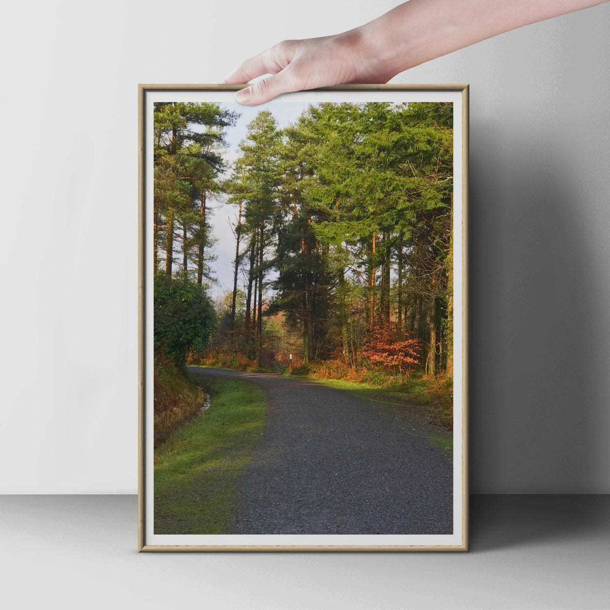 Forest Path Poster, Autumn Woodland Wall Art, Pine Trees Print, Nature Photography, Winding Track, Green and Rust Tones, Countryside Decor