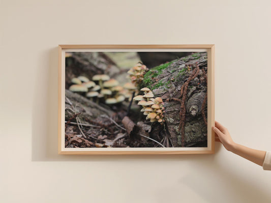 Woodland Fungi Poster, Wild Mushrooms on Fallen Log, Forest Nature Photography Framed-Print, Earthy Botanical Wall Art