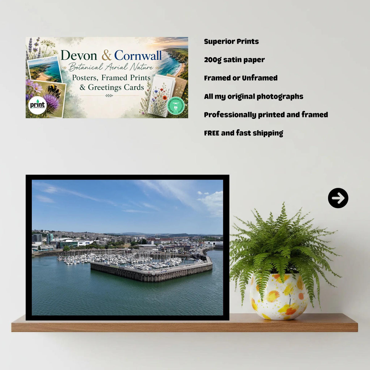 Sutton Harbour Marine Life Print | Coastal City Aquarium Wall Art | Plymouth Harbour & UK Aquarium Poster in Various Sizes