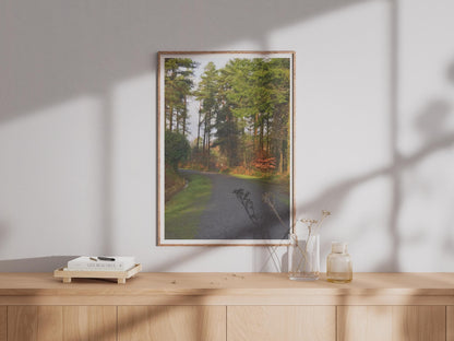 Forest Path Poster - image 4