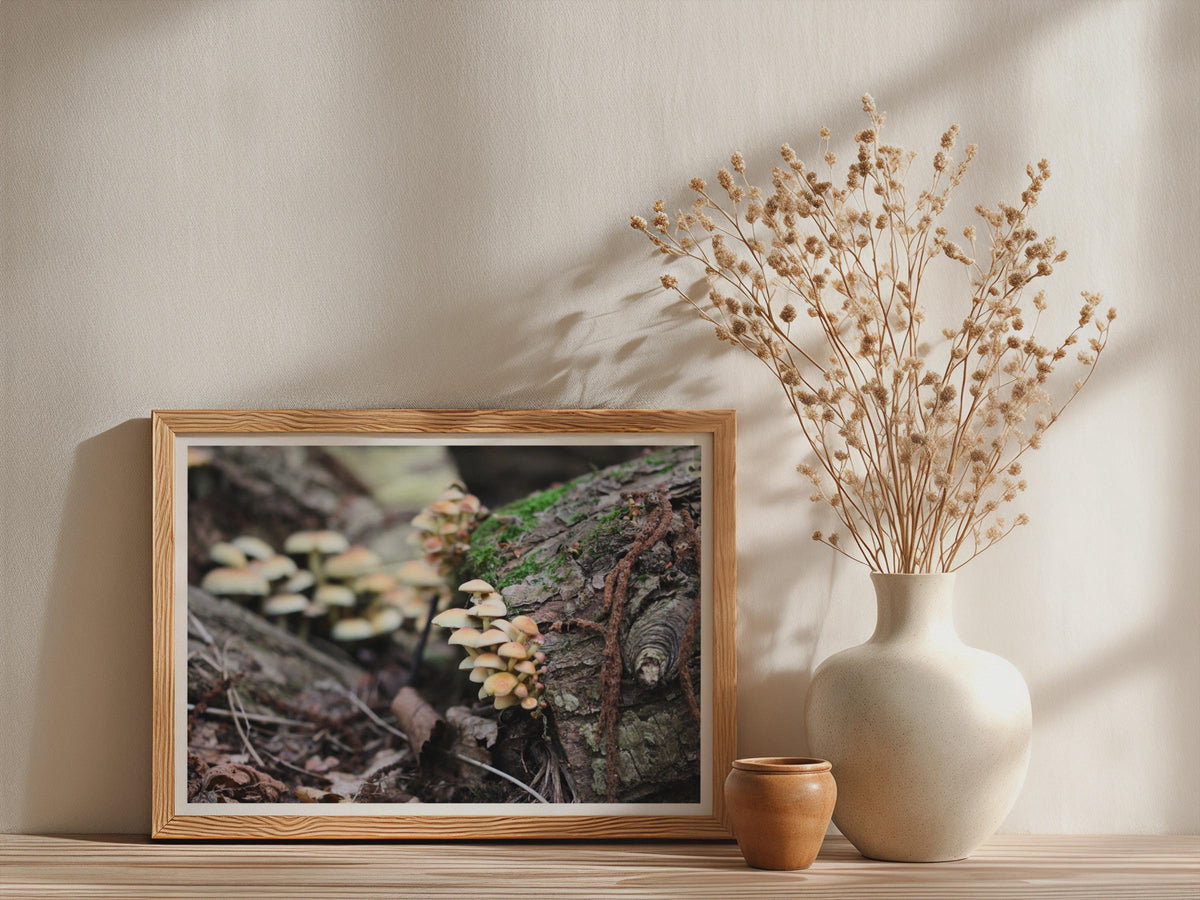 Woodland Fungi Poster mockup - Neutral_Mockup_Studio_509