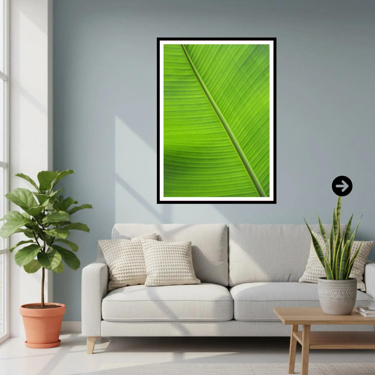 Banana Leaf Close-Up — Eden Project Cornwall Wall Art Photography Print