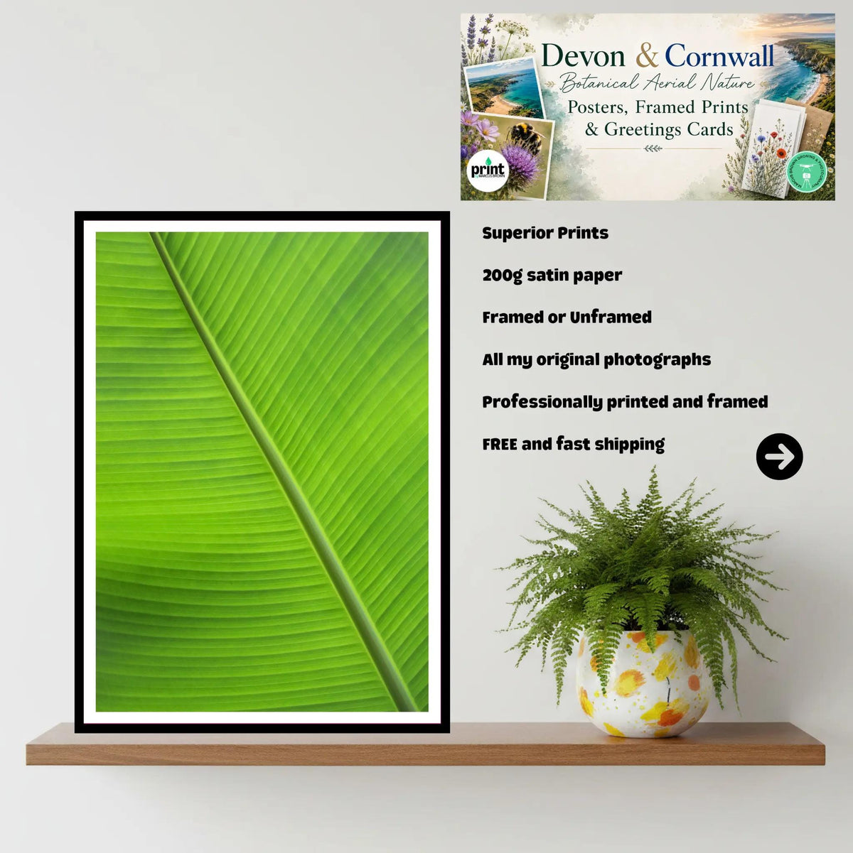 Banana Leaf Close-Up — Eden Project Cornwall Wall Art Photography Print