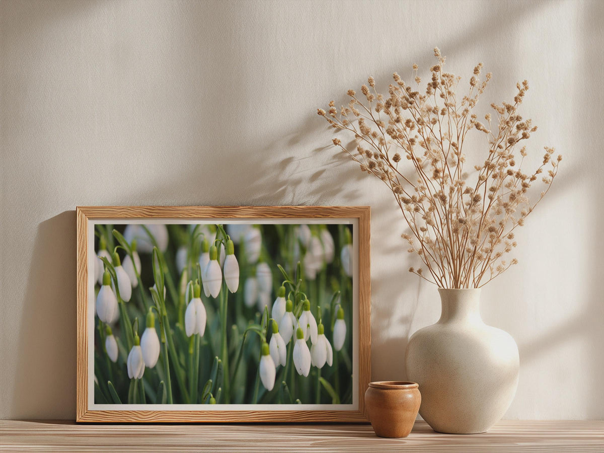Snowdrop Flower Poster, White Spring Floral Framed-Print, Botanical Photography Wall Art, Garden Nature Print, Green and White Home Decor