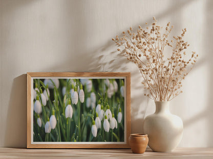Snowdrop Flower Poster, White Spring Floral Framed-Print, Botanical Photography Wall Art, Garden Nature Print, Green and White Home Decor