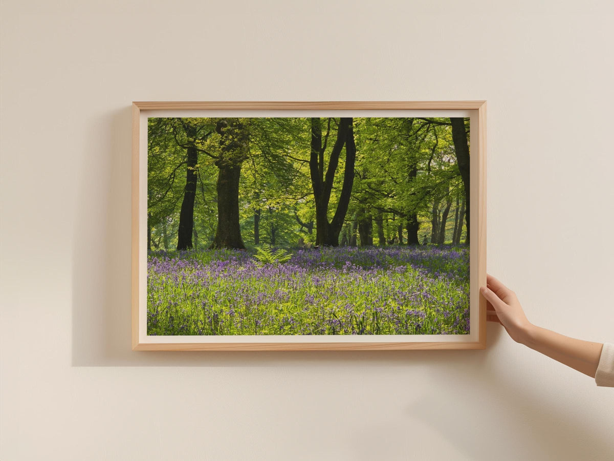 Bluebell Wood Poster, English Spring Forest Framed-Print, Purple Wildflower Woodland Wall Art, Nature Photography Print, Green Trees Decor