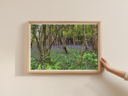 Bluebell Wood Poster, Spring Forest Landscape Framed-Print, Purple Woodland Wall Art, British Nature Photography Print, Trees Home Decor