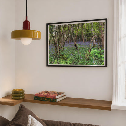 Bluebell Wood Poster - image 2