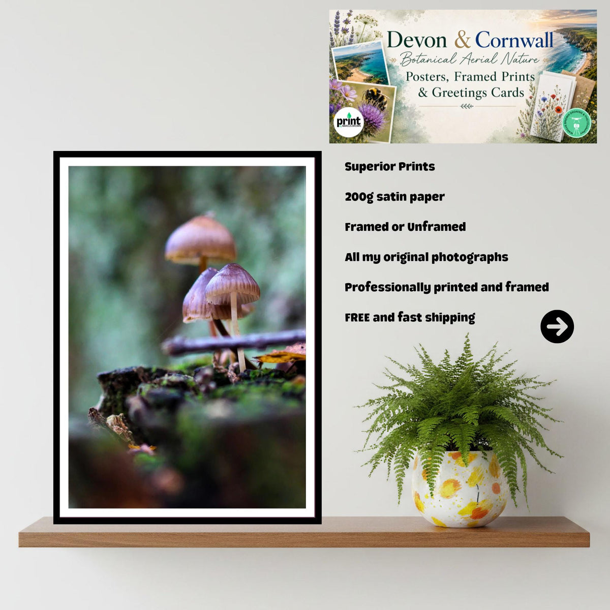 Bonnet Mycena Fungi Print Art, Bioluminescent Mushroom Wall Decor, Nature Photography, Woodland Fungi Poster, FSC Certified Archival Print