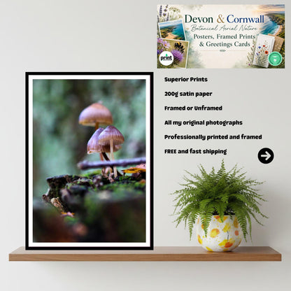 Bonnet Mycena Fungi Print Art, Bioluminescent Mushroom Wall Decor, Nature Photography, Woodland Fungi Poster, FSC Certified Archival Print