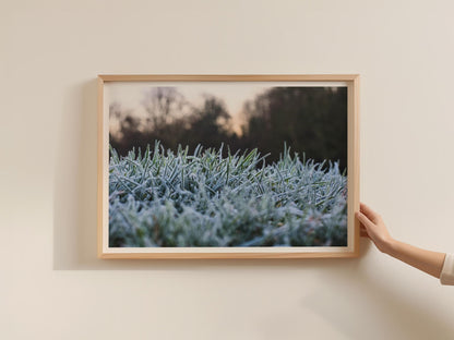 Frosty Grass Photography Poster, Winter Nature Framed-Print, Close-Up Frost Wall Art, Cold Morning Nature Print, Green and Blue Winter Decor