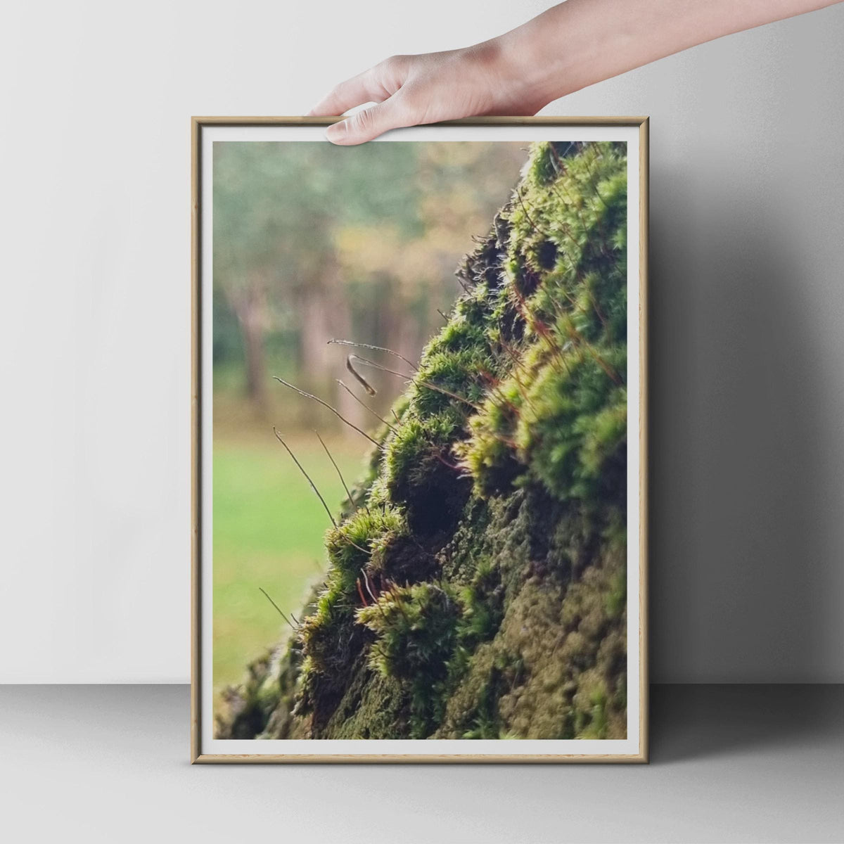 Mossy Tree Bark Nature Poster, Forest Green Wall Art, Macro Photography Print, Woodland Decor, Botanical Nature Print for Home