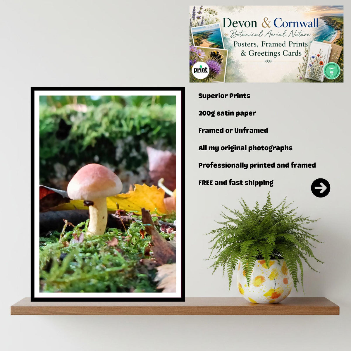 Two-Colored Bolete Fungi Print Art | Nature Photography, Woodland Decor, Forest Mushroom Poster, Mycology Wall Art, FSC Certified Print