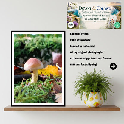 Two-Colored Bolete Fungi Print Art | Nature Photography, Woodland Decor, Forest Mushroom Poster, Mycology Wall Art, FSC Certified Print