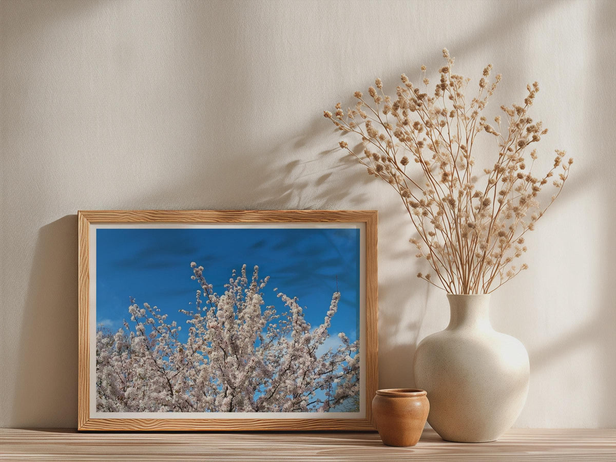 Cherry Blossom Tree Poster, Spring Blossom Framed-Print, White Flowers Blue Sky Wall Art, Botanical Nature Print, Bedroom Living Room Decor