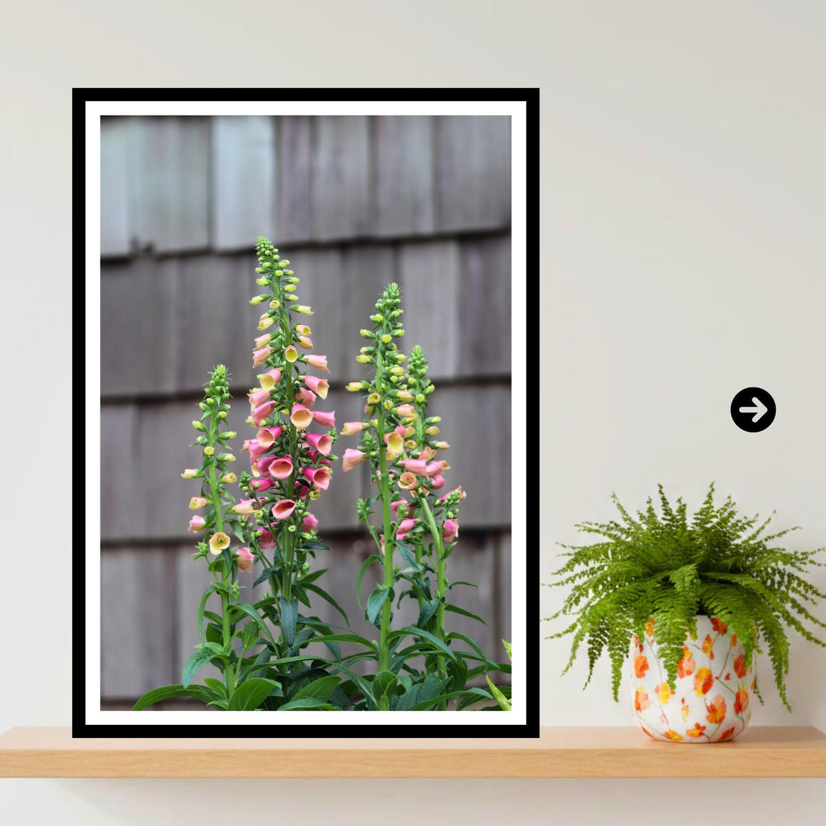 Foxglove Flower Print | Cottage Garden Botanical Wall Art