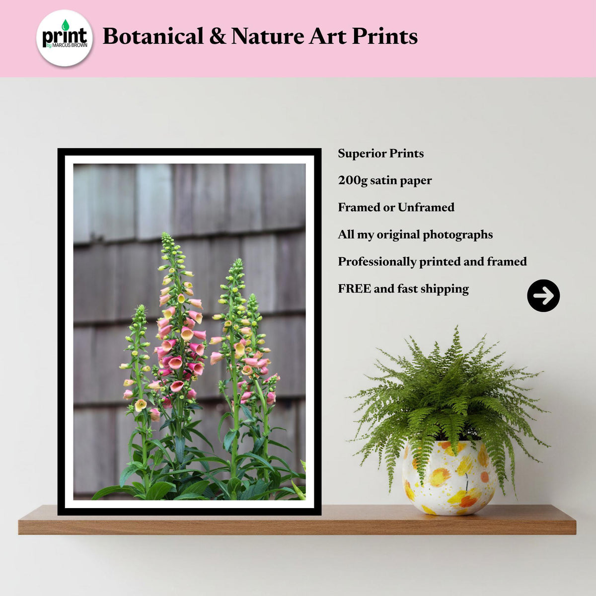 Foxglove Flower Print | Cottage Garden Botanical Wall Art