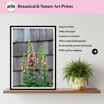 Foxglove Flower Print | Cottage Garden Botanical Wall Art