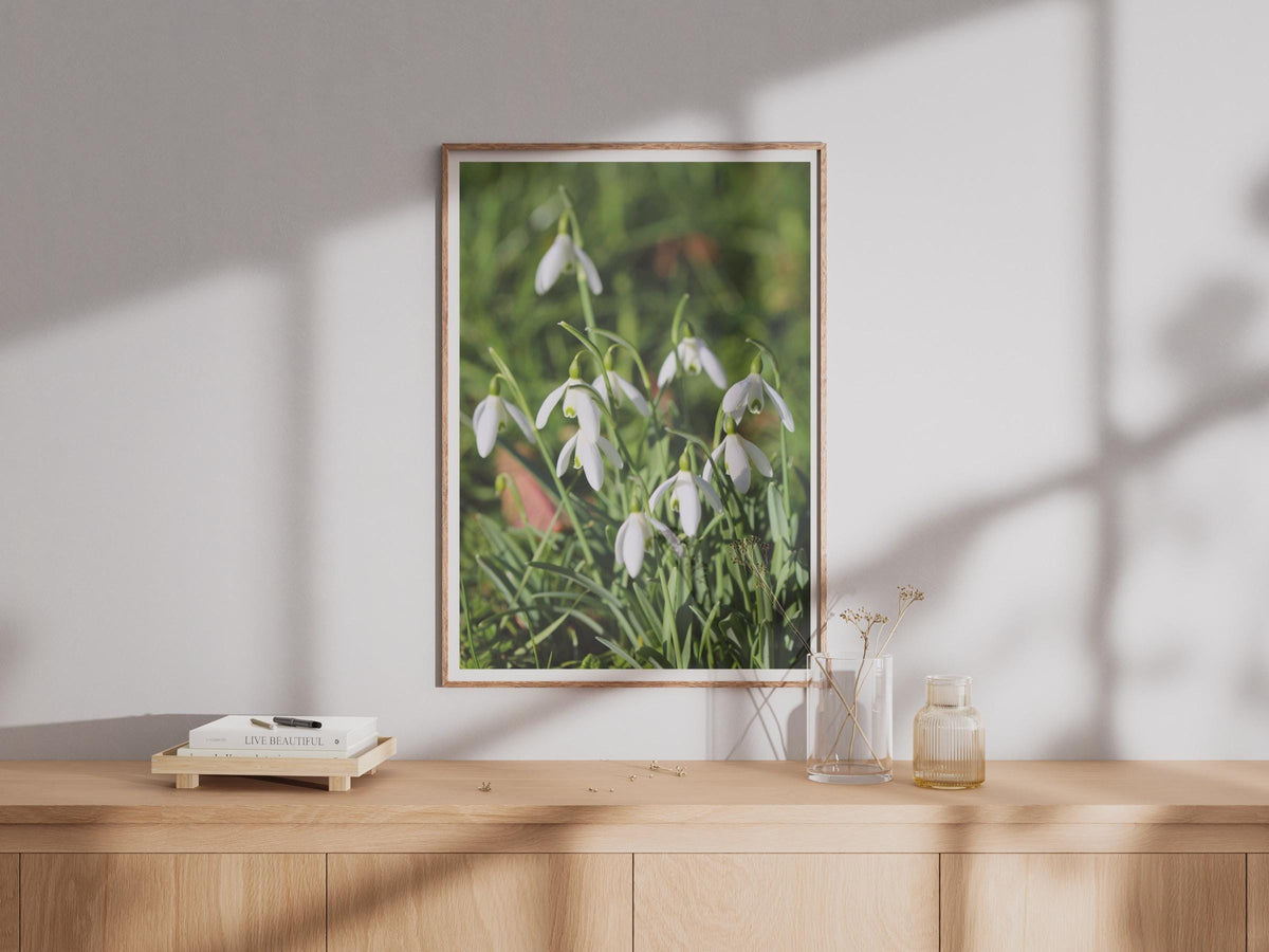 Snowdrop Flower Photo Print, White Spring Flowers Wall Art, Botanical Poster, Garden Photography, Green and White Nature Print for Home