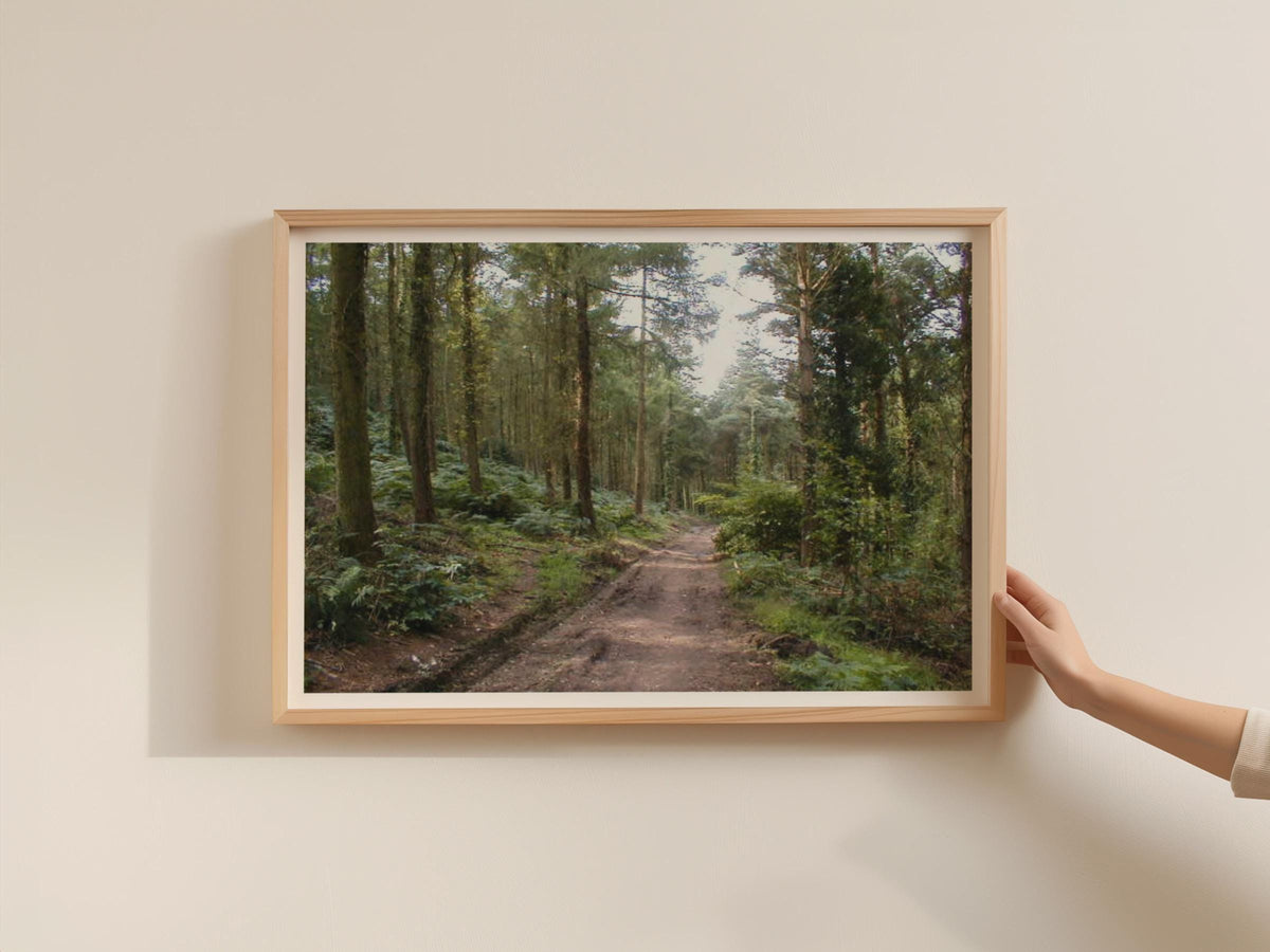 Forest Path Poster, Woodland Trees Landscape Framed-Print, Nature Wall Art, Green Forest Track, Countryside Walk, Nature Lover Gift Print