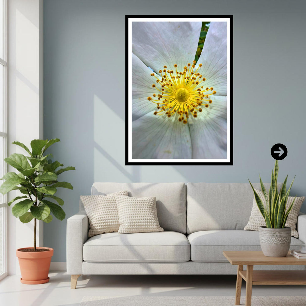 White Wild Rose Macro Print | Botanical Flower Wall Art, Nature Photograph