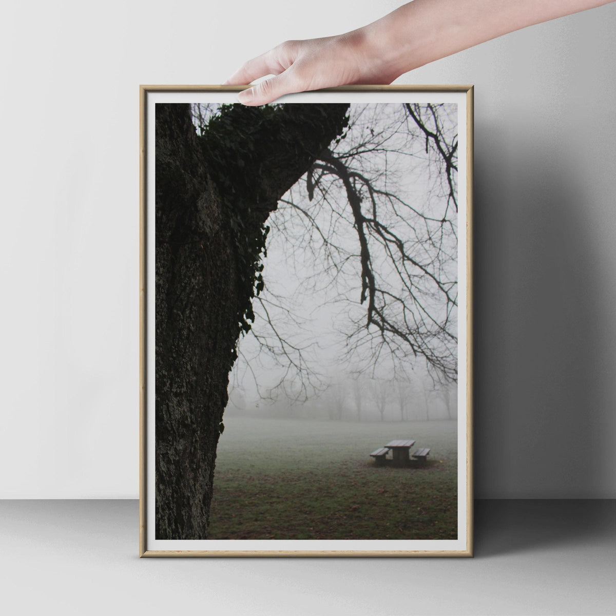 Misty Park Trees Photography Print, Moody Winter Fog Poster, Dark Bare Branches Wall Art, Atmospheric Nature Photo Print