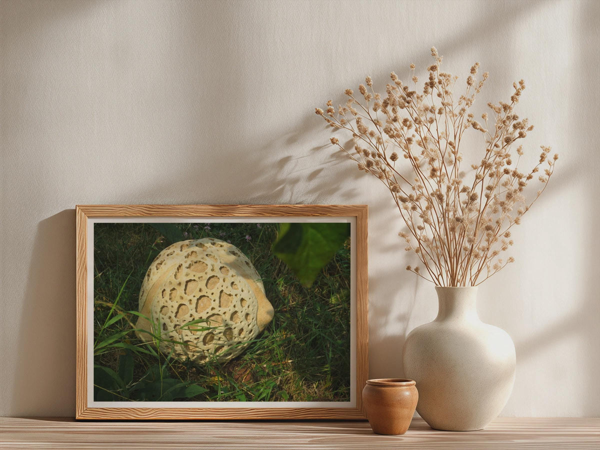 Giant Puffball Mushroom Poster mockup - Neutral_Mockup_Studio_509