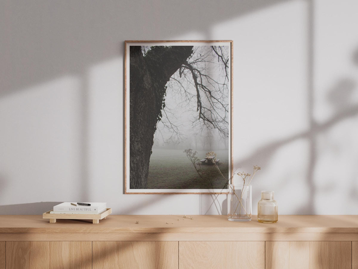 Misty Park Trees Photography Print - image 4