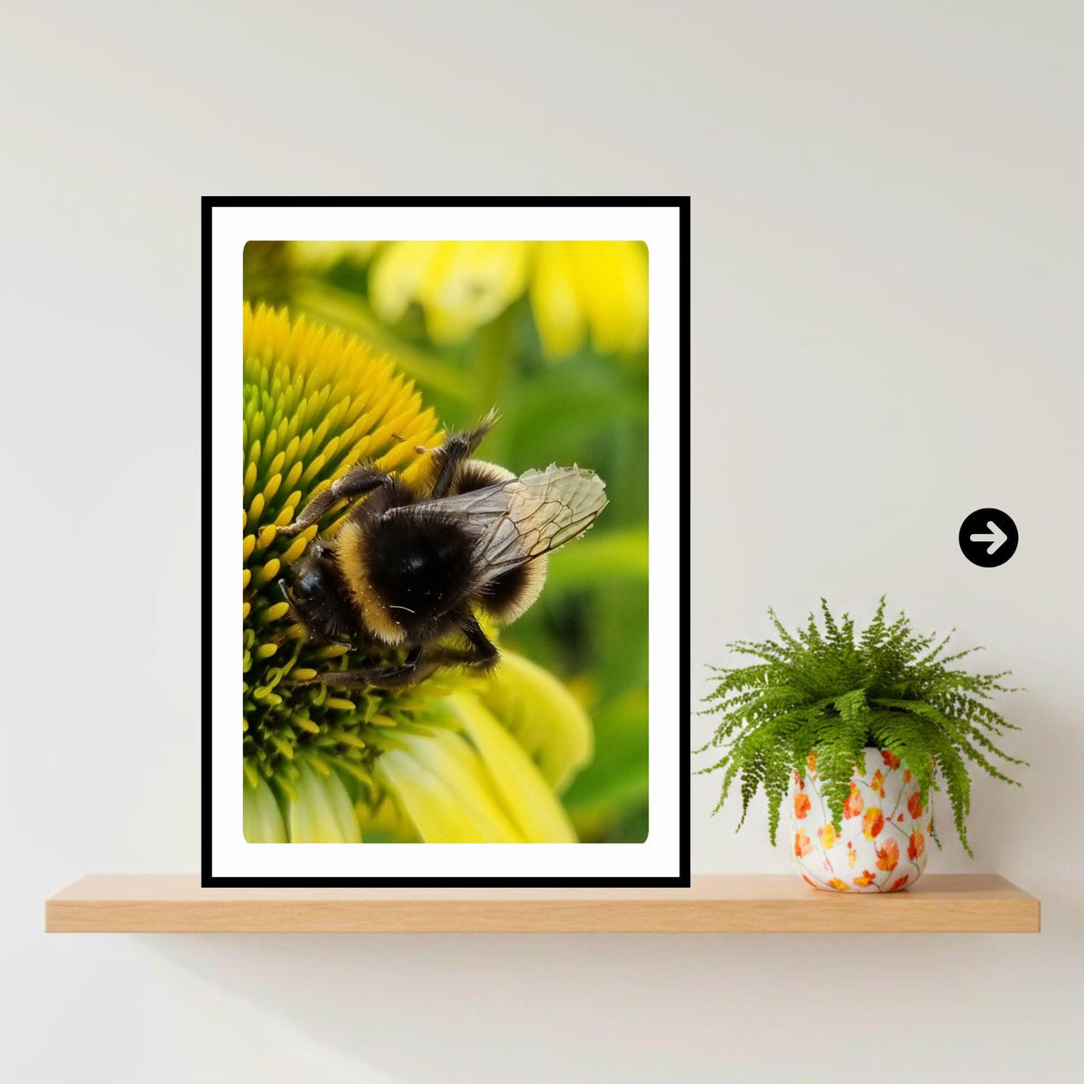 Macro Bumblebee Photography Print | Yellow Flower Botanical Nature Decor