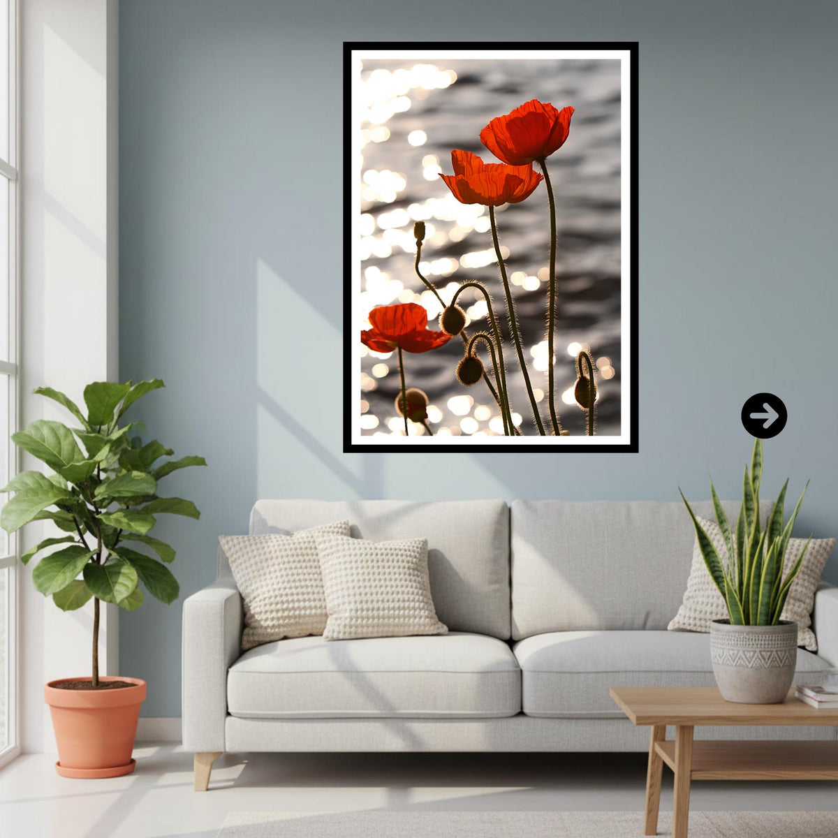 Red Poppy Sunset Botanical Print, Fine Art Nature Photography (Poppy Collection)