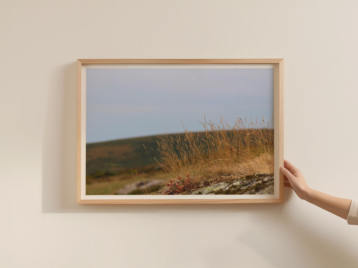 Moorland Grass Poster, Wild Grassland Framed-Print, Golden Heather Moor Wall Art, Dartmoor Landscape Print, British Upland Nature