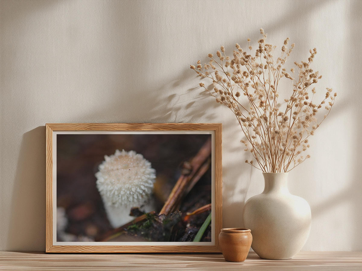 Puffball Mushroom Poster mockup - Neutral_Mockup_Studio_509