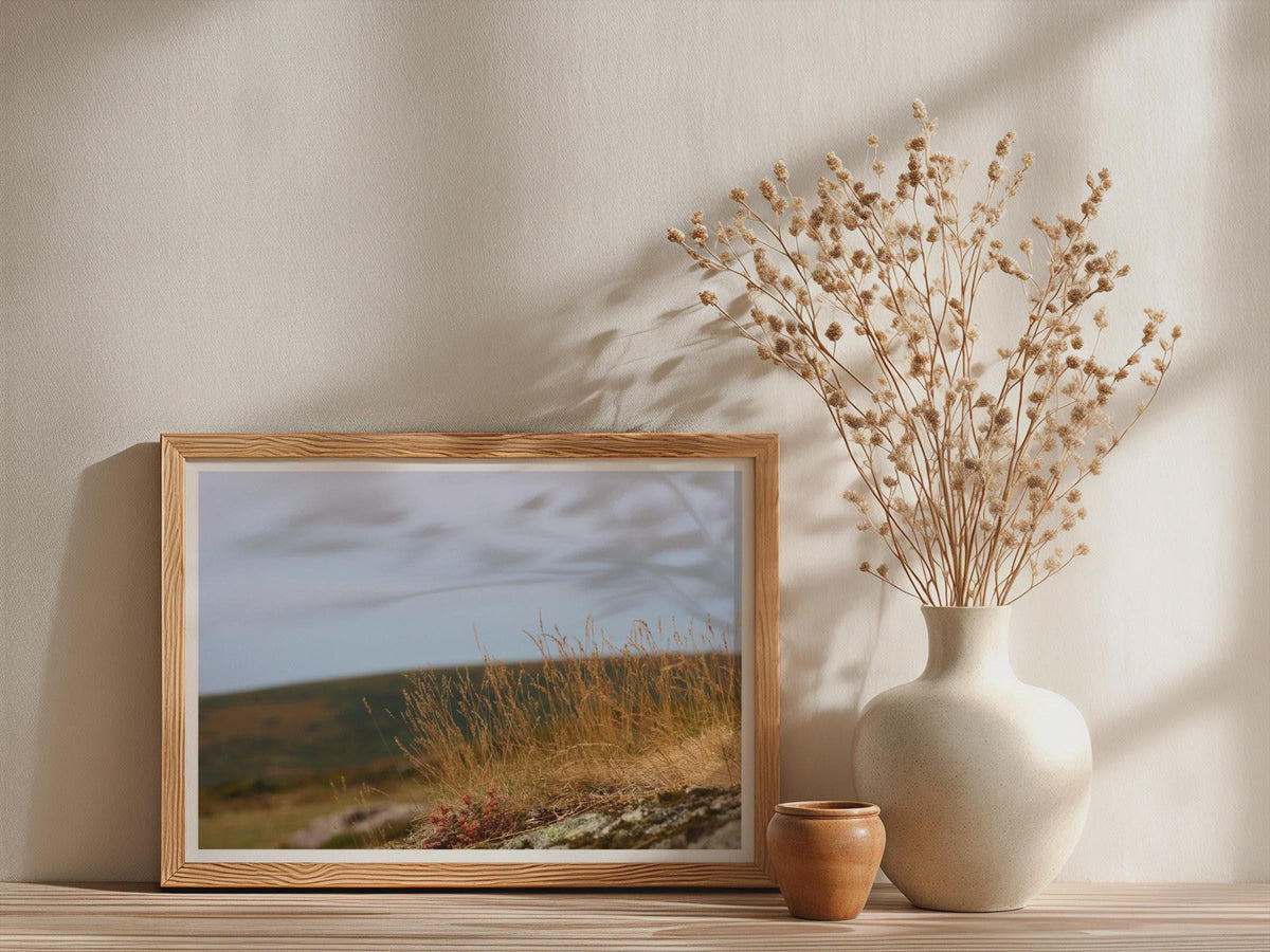 Moorland Grass Poster, Wild Grassland Framed-Print, Golden Heather Moor Wall Art, Dartmoor Landscape Print, British Upland Nature
