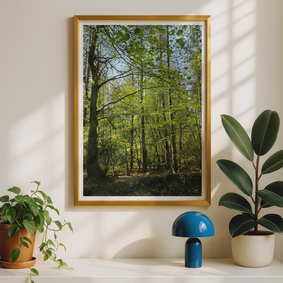 Sunlit Forest Poster - image 2