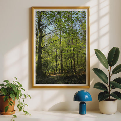 Sunlit Forest Poster - image 2